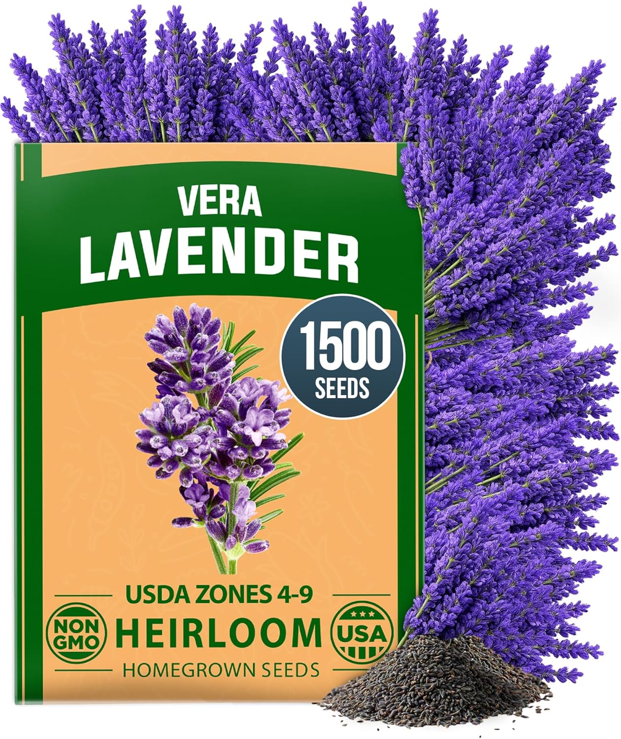 HOME GROWN Non-GMO ‘Vera’ English Lavender Seeds 1,500+ | True Original Heirloom | Superior Fragrance, Extreme Cold Hardy | High Germination Indoor/Outdoor (Lavandula angustifolia)