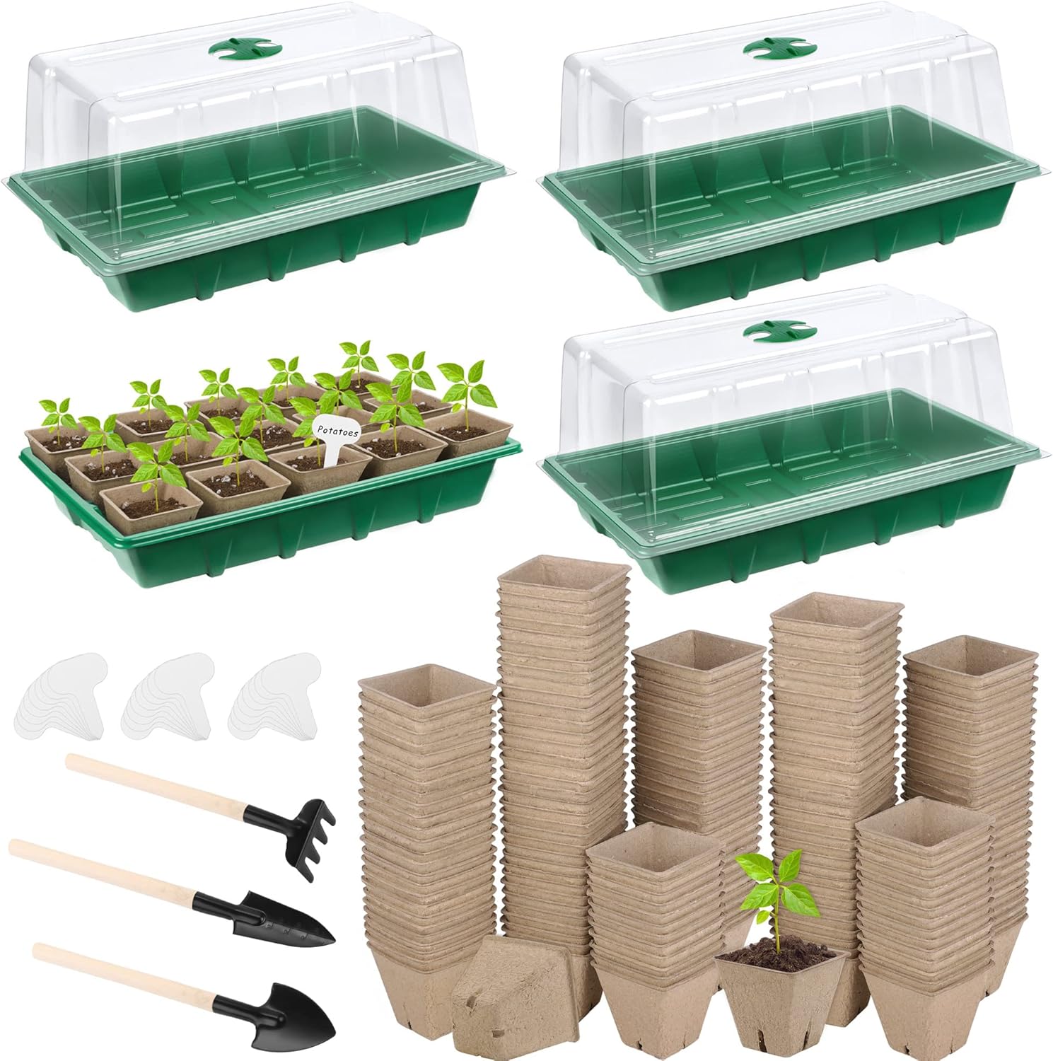 Hahood 4 Pack Seed Starter Tray Kit, 120 Square Seed Peat Pots for Seedlings with Plants Labels, Planting Tools, Plastic Growing Germination Trays with Lids for Indoor Outdoor Gardening, Green