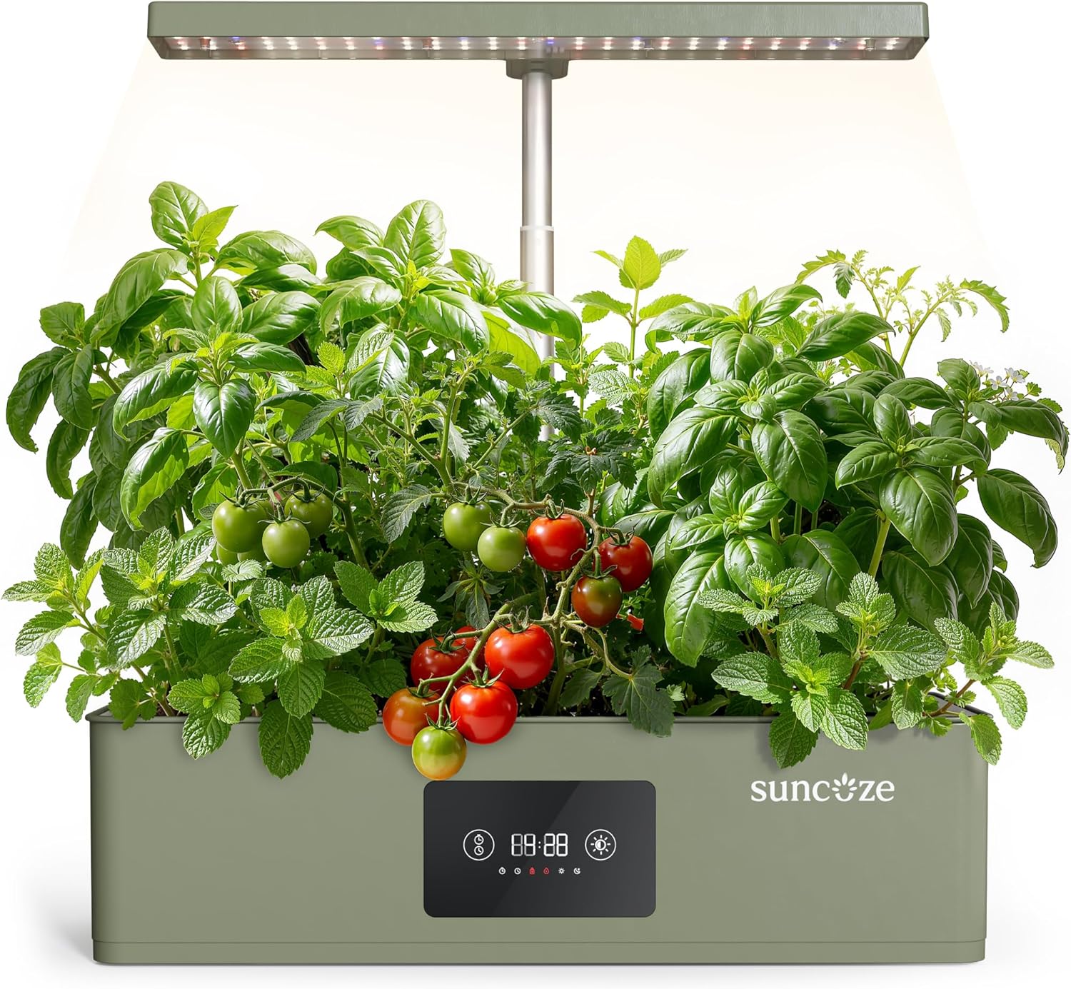 SUNCOZE Hydroponics Growing System Kit with 24W Dimmable Grow Light, 12 Pods Indoor Herb Garden with Timer & Local Time Setting, Adjustable Height, Smart Countertop Garden for Home & Kitchen, Green