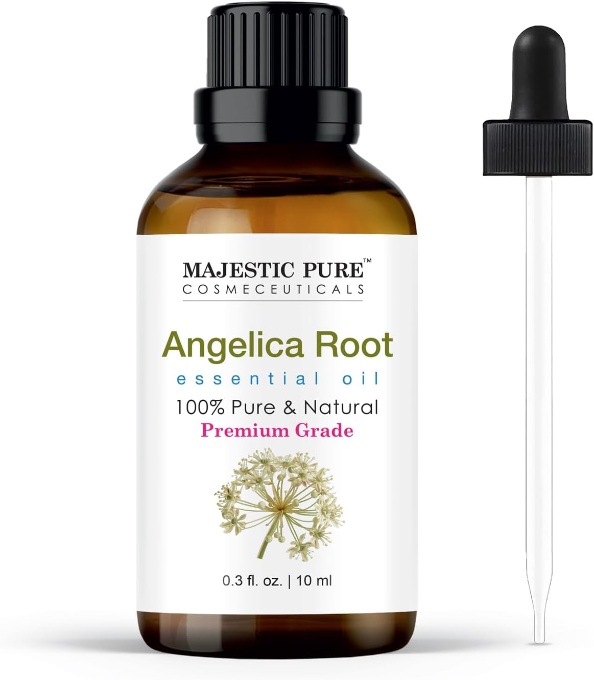 Majestic Pure Essential Oil with Glass Dropper – 100% Pure and Natural – Essential Oils for Diffuser, Aromatherapy, Soap and Candle Making, Angelica Root Essential Oil, Angelica Root Oil, 0.3 Fl Oz
