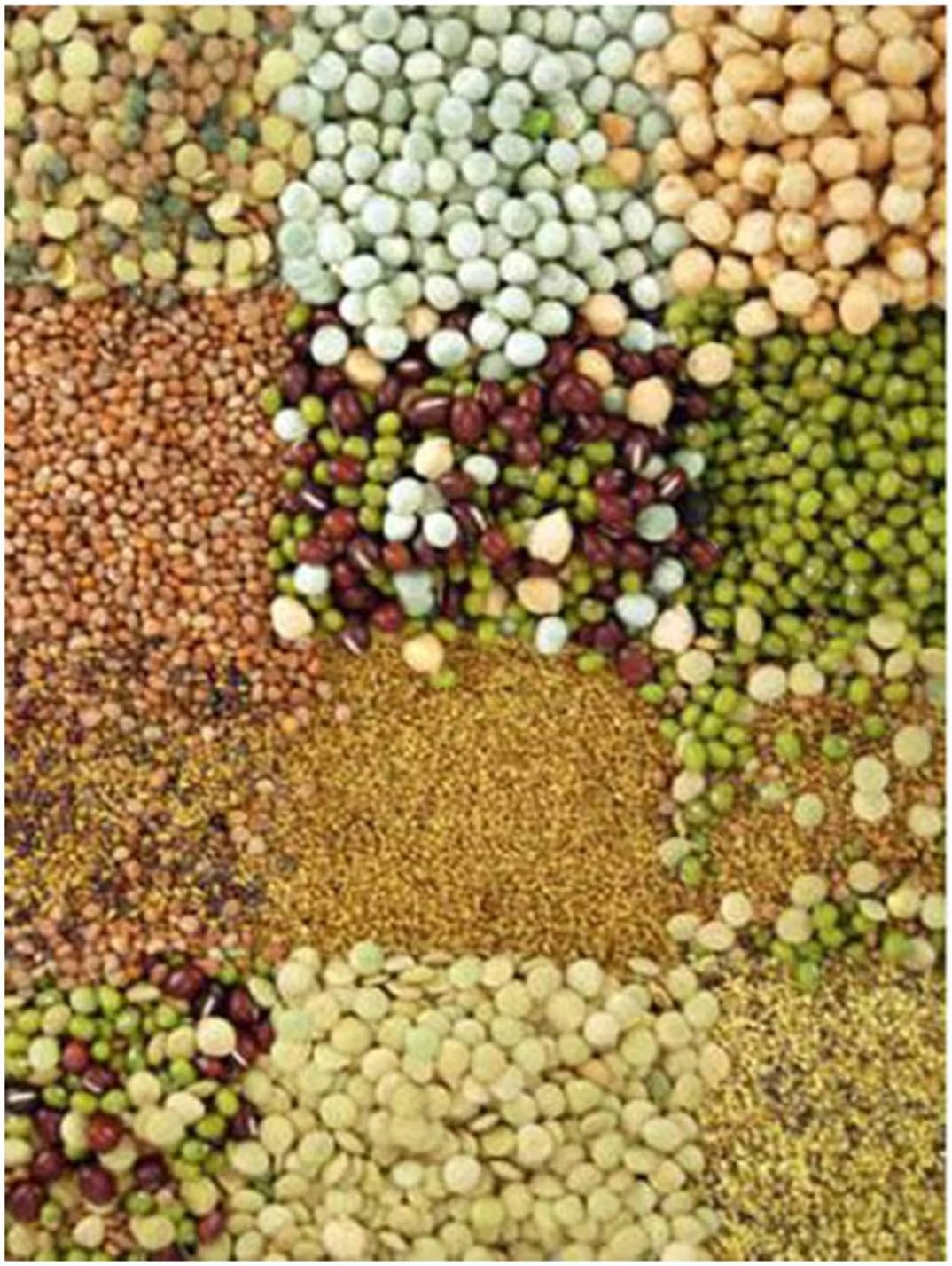 Handy Pantry Organic Sprouting Seed Assortments – Microgreens, Sprout Seeds Variety Pack (12 Pack – Beginners Dozen)