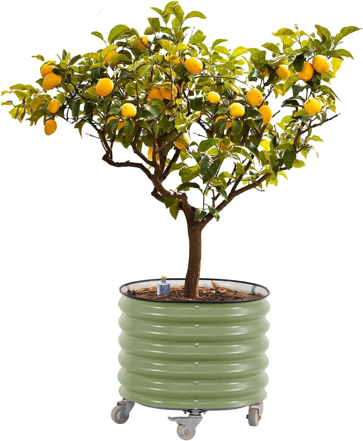Rolling Metal Citrus Tree Planter, Self-Watering Round Large Pot for Growing Trees Tomatoes Outdoor Plants Vegetables and Flowers, Raised Garden Bed with Wheels for Porch Patio & Backyard, Olive Green