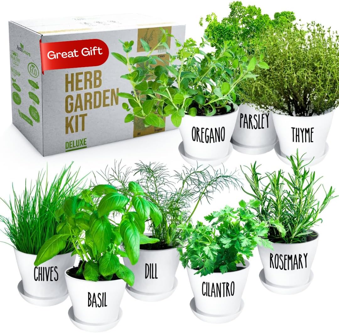 Deluxe Indoor & Outdoor Herb Garden Kit – 8 or the Most Popular Culinary Herbs with Pots & Soil for Windowsill or Patio Growing