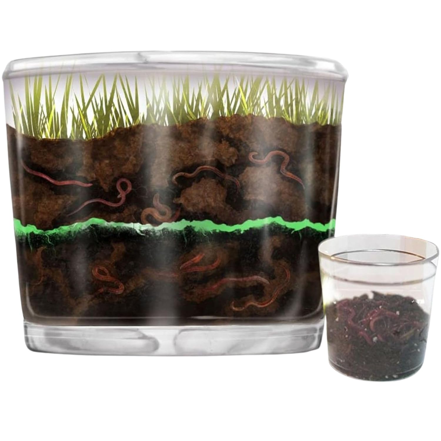 Worm Farm for Kids Shipped with Live Worms – Observation Kit with Ecosystem, Soil Mixing Sand, Magnifying Glass & More from Nature Gift Store