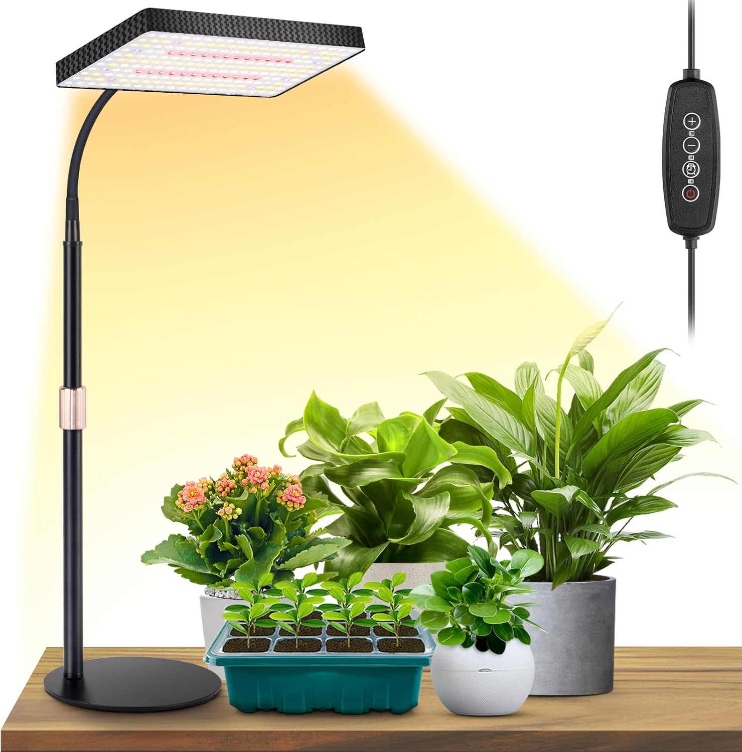 LBW Desk Grow Light, Full Spectrum Plant Light for Indoor Plants, Grow Lamps with 4/8/12H Timer, 10″-26″ Height Adjustable, 6 Brightness Levels