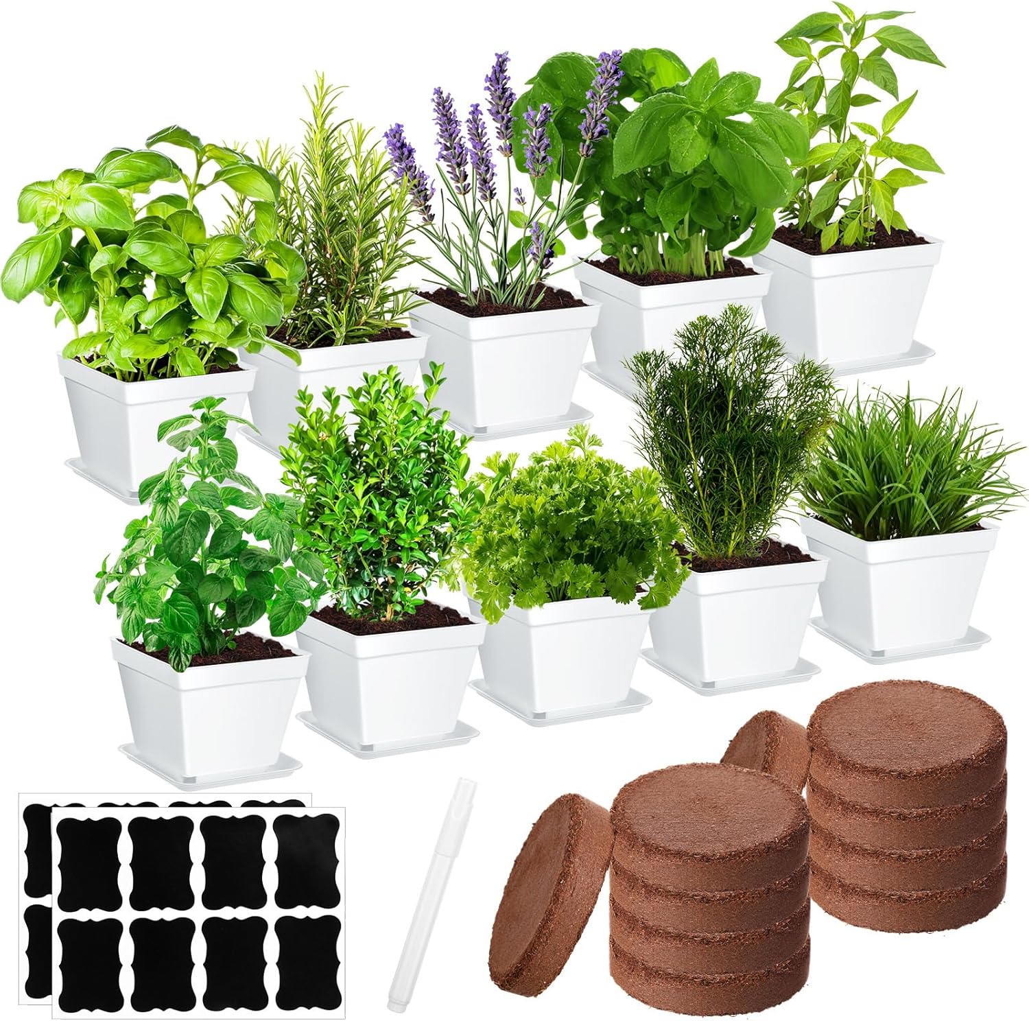 Ripeng 10 Set Indoor Herb Garden Starter Kit, Herb Growing Kit with Pots, Nutritional Soil, Plant Markers, Kitchen Window Planter, Gardening Gift for Women Men Indoor Outdoor