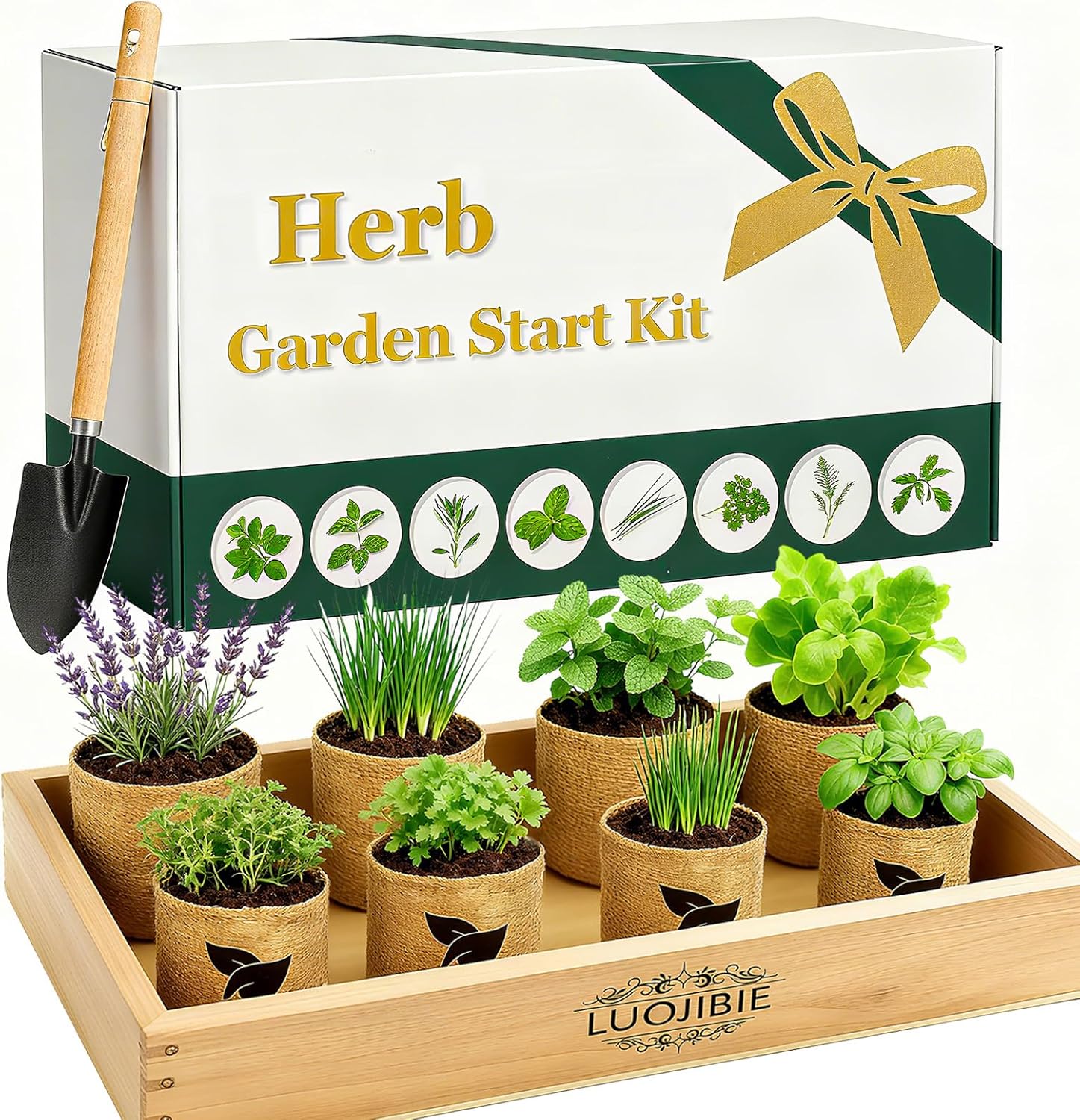 Indoor Herb Garden Start Kit – Unique Gifts for Women, Mothers Day Gifts, Easy House Plant- Birthday for Women,House Warming Gift New Home- Fresh Herb Garden DIY Crafts for Adults