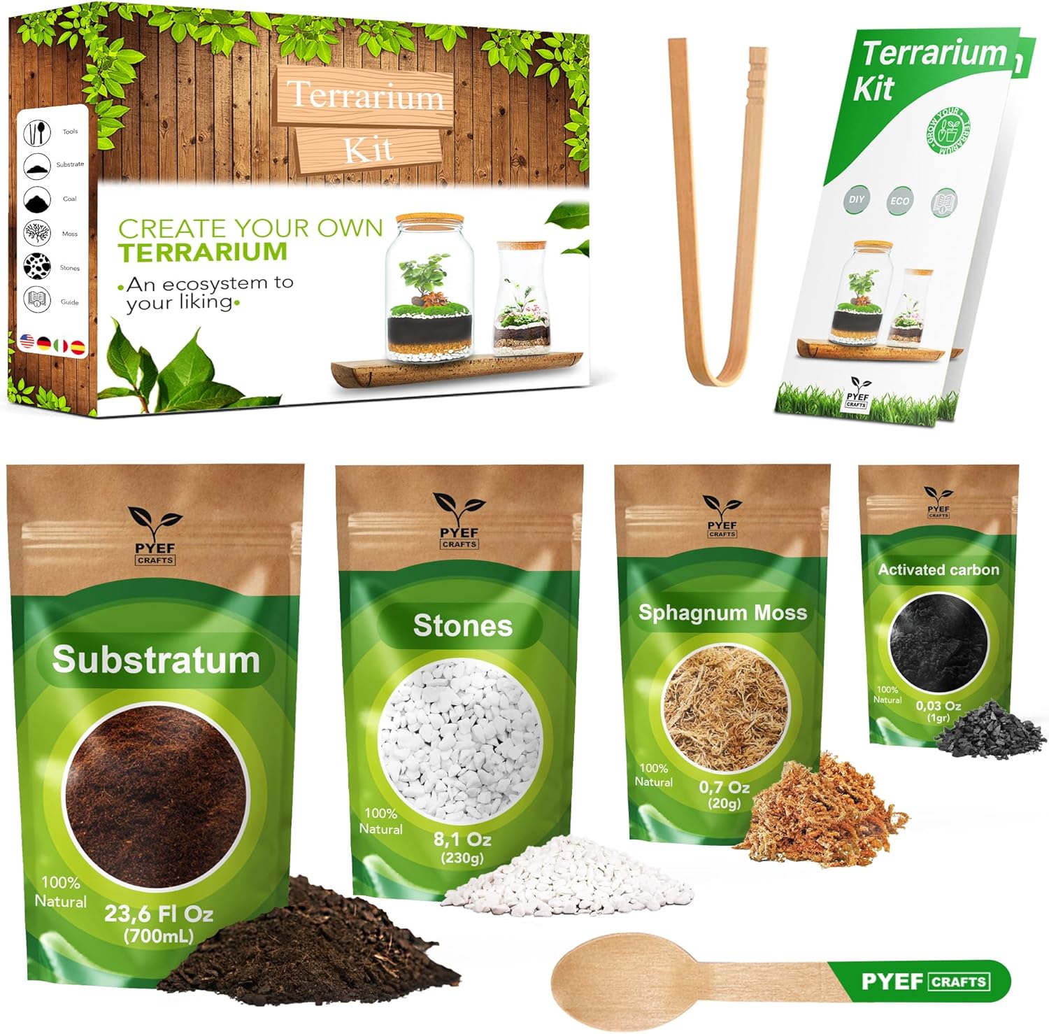 DIY Terrarium Kit for Plants – Build a Self‑Sustaining Closed Ecosystem – Supplies for Up to 68 oz (1‑2 Liter) – Succulents, Air Plants (Tillandsia), Fern – Jar Not Included