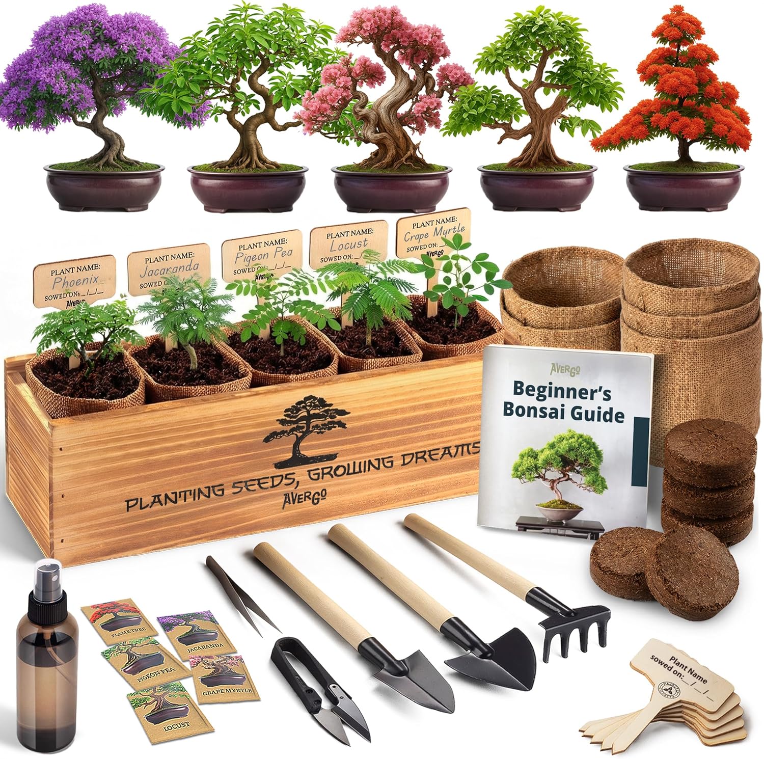 AVERGO Bonsai Tree Kit Classic – 5X Unique Japanese Bonzai Trees | Complete Indoor Bonsai Starter Kits for Growing Trees – DIY Gardening Gifts for Mother’s Day, Women & Men