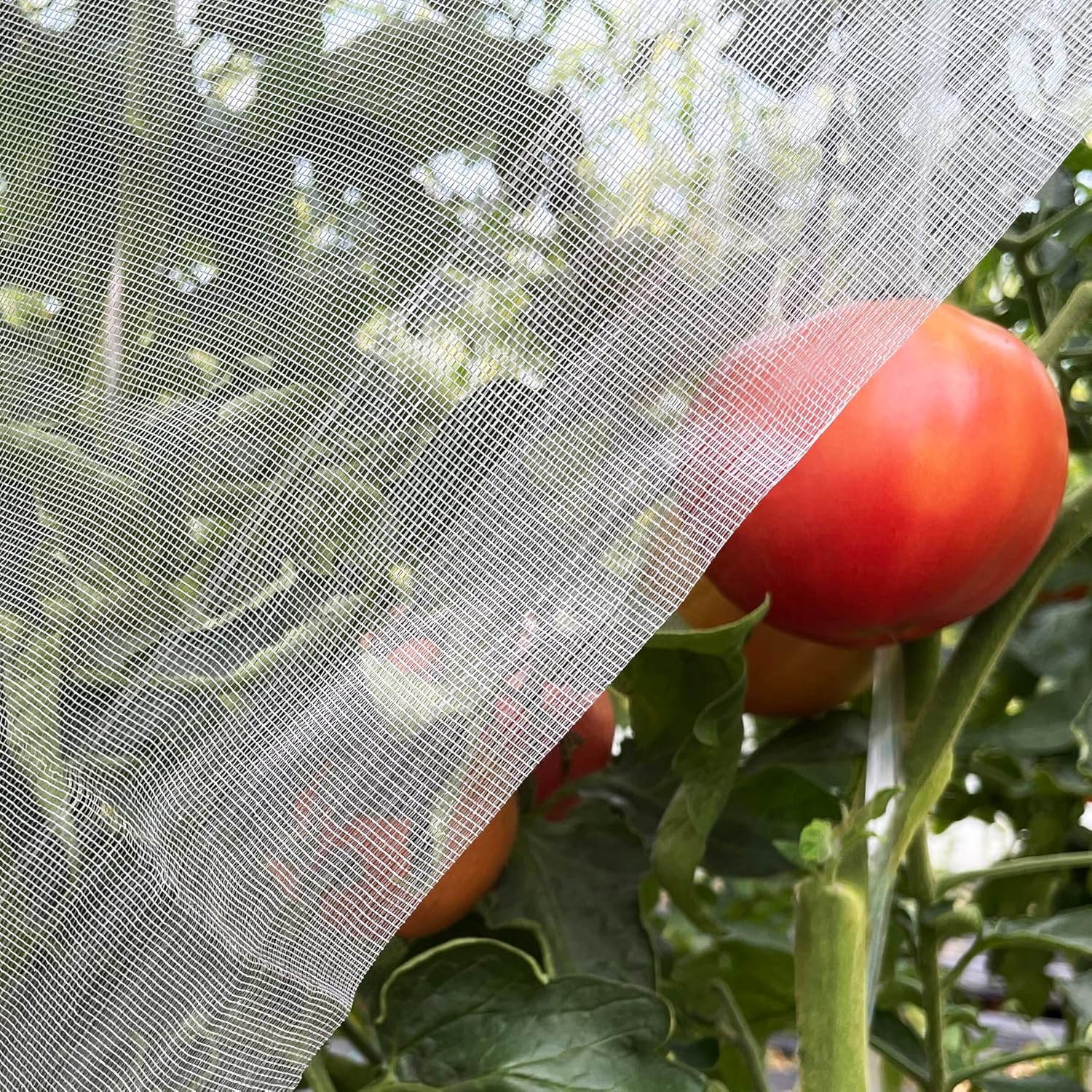Ultra Fine Garden Netting 4’x10′ Plant Pest Barrier Covers Bird Patio Mosquito Netting Tree Vegetable Mesh Protection Netting Fruit Greenhouse Row Nets for Garden