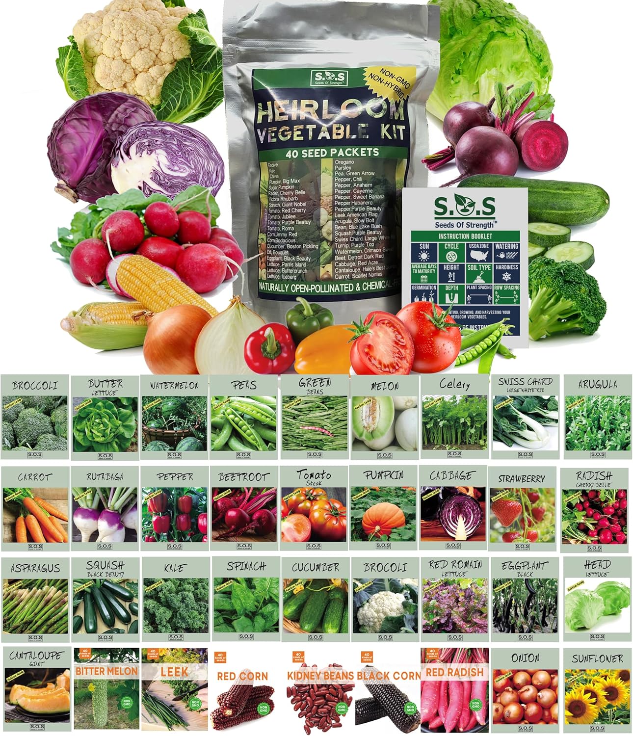 Starter Seed Kit: 15,000+ Seeds, 40 Heirloom Fruit & Vegetable Varieties – Perfect Gardening Gift – Planting Instructions – Indoors, Outdoors, or Hydroponically