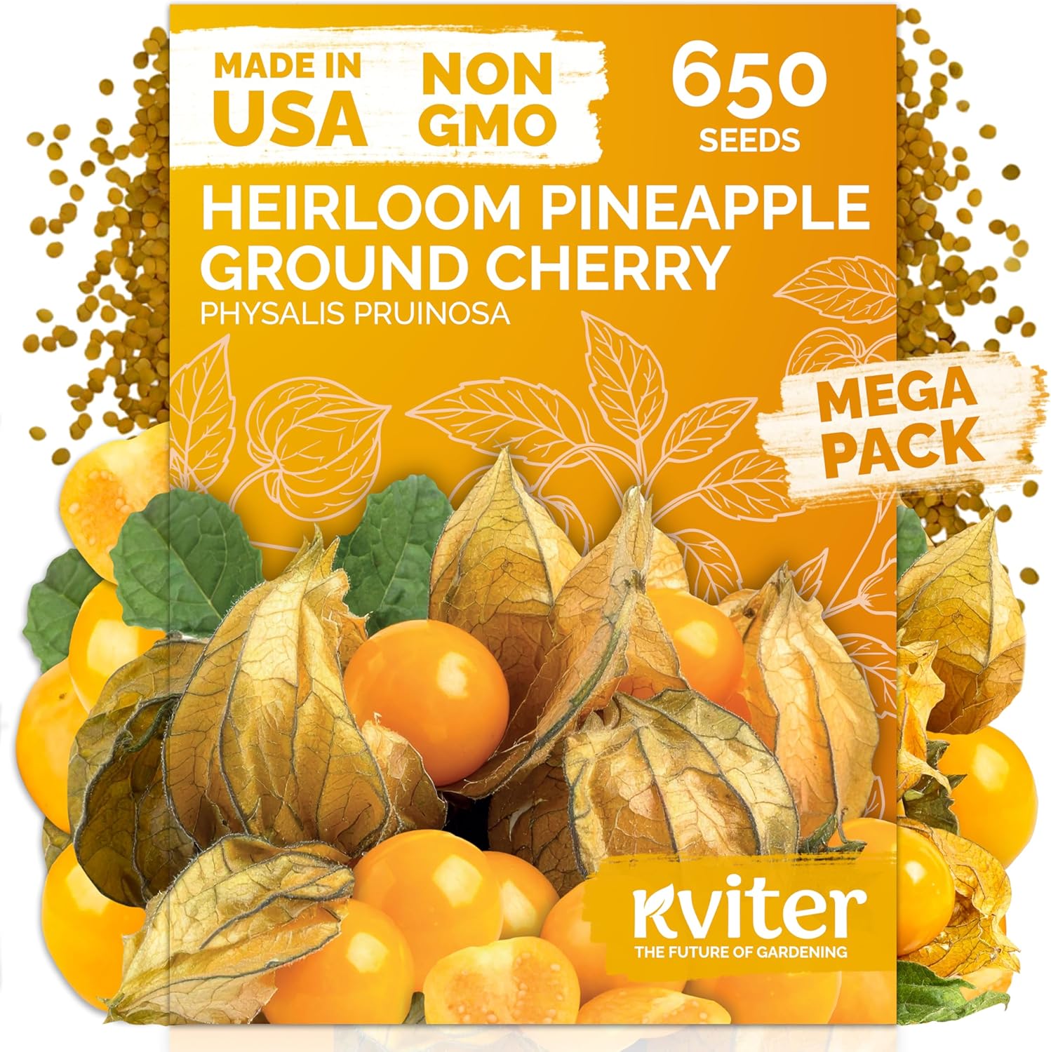KVITER 650 Aunt Molly Ground Cherry Seeds for Planting (Physalis pruinosa) – Non GMO & Heirloom Pineapple Ground Husk Cherry Tomatoes, Organic Fruit Seeds – Tropical Flavor Berries
