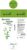 Boar Bristles Natural Bamboo Toothbrush Eco-Friendly Biodegradable Zero Waste Pack of 12
