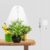 GYTF Halo Plant Grow Light, 6000K White LED Full Spectrum Growing Lamp for Indoor Plants, Succulents, Mini Bonsai, Small Plants, Height Adjustable, Dimmable & Timer 4/8/12/18Hrs