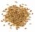 Anise Seed Pack, herb Seeds, Garden Planting, Anise Hyssop 25+ Seeds (Agastache foeniculum) Non GMO – Open Pollinated – Heirloom – Perennial