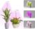 Halo Ring Grow Lights for Small Indoor Plants, Red+Blue+Yellow Light Full Spectrum LED Plant Light, Height Adjustable with 5V 2A Adapter, 3/9/12H Timer & 10 Dimmable Levels, Angel Ring 2 Pack