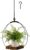Hanging Planter for Indoor Plants, Black Plant Hanger Indoor with Sturdy Wood Base, Modern Boho Macrame Plant Hanger for 3-5.5 Inch Pot, Hanging Wall Ceiling Window Home Decor (Pots Not Included)