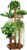 GEEBOBO 5 Tiered Tall Plant Stand for Indoor, Wood Plant Shelf Corner Display Rack, Multi-tier Planter Pot Holder Flower Stand for Living Room Balcony Garden Patio (Brown)