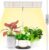 LORDEM Grow Light, Full Spectrum LED Plant Light for Indoor Plants, Height Adjustable Growing Lamp with Auto On/Off Timer 4H/8H/12H, 4 Dimmable Brightness, Ideal for Home Desk Plant Lighting