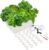 Hydroponics Growing System Kit with Air Pump, Bubble Stone, 12-Hole Indoor Hydroponic System Grow Box, Indoor Gardening System & Hydroponic Kit Vegetable & Herb Garden Starter Kit