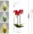 White Grow Lights for Indoor Plants Full Spectrum, 48 LEDs Plant Light for Indoor Plants, Height Adjustable, Small Halo Growing Lamp with Base, Auto Timer 3/9/12H, 3 Light Spectrums,10 Brightness