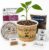 Seeds in A Cup – Plant Grow kit Lavender | Herb, Plant, Flower Starter Kit for Kids & Adults | Zen Windowsill Garden Grow Kit | Guaranteed to Grow | Best Indoor Grow Your Own Plant Gardening Gift