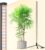 Barrina Grow Lights for Indoor Plants with Stand, 42W 169 LEDs Full Spectrum Wide Illumination Area, T10 Vertical Standing Plant Grow Light, 4FT Height with On/Off Switch and Tripod Floor Stand