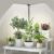 bodkar Plant Grow Lights for Indoor Plants Full Spectrum with 3/6/9H Timer & Dimming, Slim Plant Lights for Indoor Growing with 6000K White Red LEDs for Various Plants