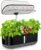 Hydroponics Growing System with LED Grow Light, 14 Pods Indoor Herb Garden Full Spectrum Rotatable Light Panel, Auto On Off Timing 12 14 16Hrs, 5L Water Tank, Harvest Fresh Basil Tomato (Black)