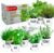 Deluxe Indoor & Outdoor Herb Garden Kit – 8 or the Most Popular Culinary Herbs with Pots & Soil for Windowsill or Patio Growing