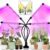 LEOTER Grow Light for Indoor Plants – Upgraded Version 80 LED Lamps with Full Spectrum & Red Blue Spectrum, 3/9/12H Timer, 10 Dimmable Level, Adjustable Gooseneck,3 Switch Modes