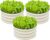 SnugNiture 3 Pcs 2x2x1ft Round Galvanized Raised Garden Bed Kit Outdoor, Metal Planter Box for Planting Plants Vegetables, White