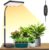 LBW Desk Grow Light, Full Spectrum Plant Light for Indoor Plants, Grow Lamps with 4/8/12H Timer, 10″-26″ Height Adjustable, 6 Brightness Levels