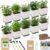 10-Set Indoor Herb Garden Starter Kit, 7 Seeds Growing into Basil, Parsley, Thyme, Mint, Cilantro, Dill, Oregano Including 10 White Pots, Markers, Nutritional Soil, Ideal Christmas Gifts for Women