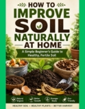 How to Improve Soil Naturally at Home: A Simple Beginner’s Guide to Healthy, Fertile Soil