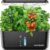 Ahopegarden Indoor Garden Hydroponics Growing System: 10 Pods Plant Germination Kit Herb Vegetable Growth Lamp Countertop with LED Grow Light – Hydrophonic Planter Grower Harvest Lettuce