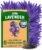 HOME GROWN Non-GMO ‘Vera’ English Lavender Seeds 1,500+ | True Original Heirloom | Superior Fragrance, Extreme Cold Hardy | High Germination Indoor/Outdoor (Lavandula angustifolia)