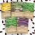 Organic Bean Seeds Variety Pack – 5 Individual Packs – 2026 Season – Golden Wax Bush, Cannellini Shelling Bean and More! For Indoor & Outdoor Planting (Non-GMO, Certified Organic)