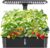 Hydroponics Growing System Kits,Smart Indoor Herb Garden with 24W LED Grow Light Planting Height Adjustablewith,12 Pods Plant Germination Kit,with Quiet Pump, Ideal Gift for All Ages
