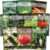 Sow Right Seeds – Classic Vegetable Garden Seed Collection for Planting – Non-GMO Heirloom Broccoli, Cabbage, Carrot, Cucumber, Kale, Lettuce, Tomato, Peppers, Zucchini, and More