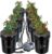 VIVOSUN DWC Hydroponics Grow System with Top Drip Kit, 5-Gallon Deep Water Culture, Recirculating Drip Garden System with Multi-Purpose Air Hose, Air Pump, and Air Stone (8 Buckets + Top Drip Kit)