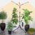 3Head Grow Light with Stand, 5-Mode Timer 4/8/12/16/20H, 27 Watt Power Home Plug LED Grow Lights for Indoor Plants for Tall Houseplants, Bonsai Tree, Seed Starting, 24″-64″ Adjustable Height