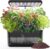 Indoor Herb Garden Kit, Hydroponic Growing System with LED Grow Light Quiet Water Pump for Home Kitchen Office Healthy Fresh Herbs Vegetables, Gift Ideas for Women Men