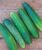 Burpee ‘Straight Eight’ Slicing Cucumber Seeds, 200 Non-GMO seeds, Heirloom