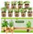 Gift for Women, Mom, Her – 9 Herb Indoor Window Garden Kit | Complete Herb Seeds Starter Set with Pots, Soil, Tools & Markers | Heirloom Herbs | Birthday, Housewarming, New Home, Mother’s Day