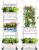 Hydroponics Growing System,AOONEG 42Pods Indoor Herb Garden with LED Grow Light,Hydroponics Growing System Kit with Automatic Timer,Pump System,Adjustable Height (No Seed,Glossy White, 3Layer-42Pods)