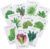 Sereniseed Certified Organic Leafy Greens Lettuce Seeds Collection (10-Pack) – 100% Non GMO, Open Pollinated – Grow Guide