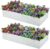 Meberam 2 Pack 6x3x1FT Galvanized Raised Garden Bed Kit, Outdoor Metal Planter Box for Vegetables, Bottomless Rectangular Gardening Bed with Support Rods, Tool-Free Assembly, Silver