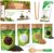 DIY Terrarium Kit for Plants – Build a Self‑Sustaining Closed Ecosystem – Supplies for Up to 68 oz (1‑2 Liter) – Succulents, Air Plants (Tillandsia), Fern – Jar Not Included