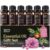 Lagunamoon Essential Oils Mothers Day Gifts Set- 6 Oils for Diffusers, Aromatherapy, Home Care, Candle Making Scents, Fragrance, Humidifiers – Peppermint, Tea Tree, Lavender, Eucalyptus, Orange (10mL)